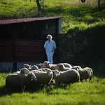 Oda ve Kahvaltı Quinta Do Passal Arega