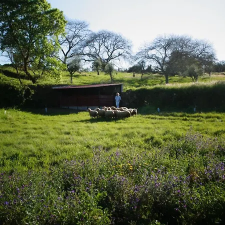 Bed & Breakfast Quinta Do Passal *