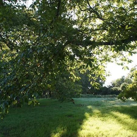 Quinta Do Passal