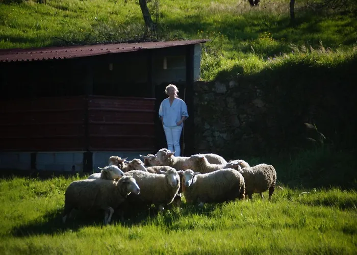 Alojamento de Acomodação e Pequeno-almoço Quinta Do Passal Arrega