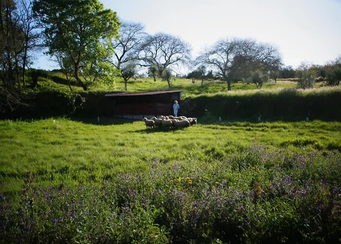 Alojamento de Acomodação e Pequeno-almoço Quinta Do Passal 3*